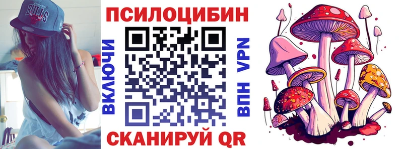 где продают наркотики  площадка официальный сайт  Галлюциногенные грибы Magic Shrooms  Братск 